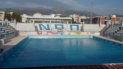 ΝΟΠ
