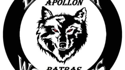 Black Wolves: «Αντίο Basket League»