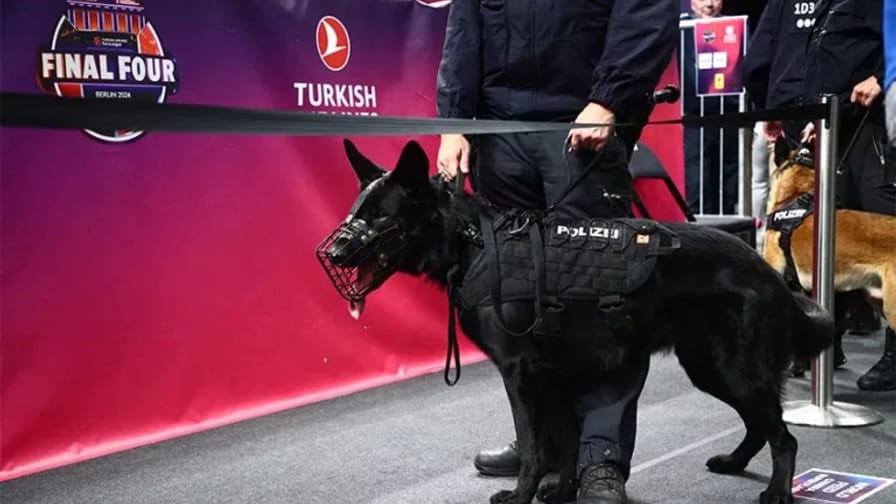 Euroleague Final Four επεισόδια