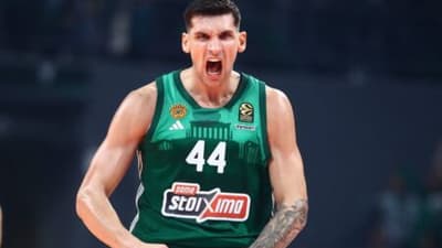 Μήτογλου Παναθηναϊκός