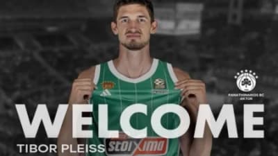Pleiss