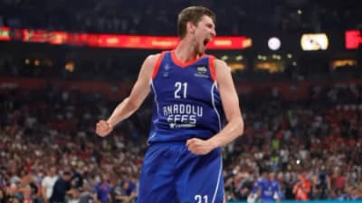 Pleiss
