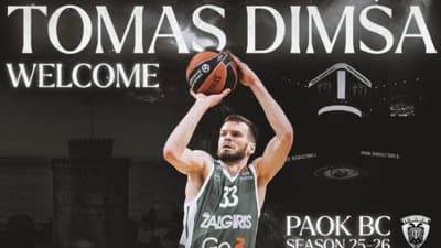 Dimsa